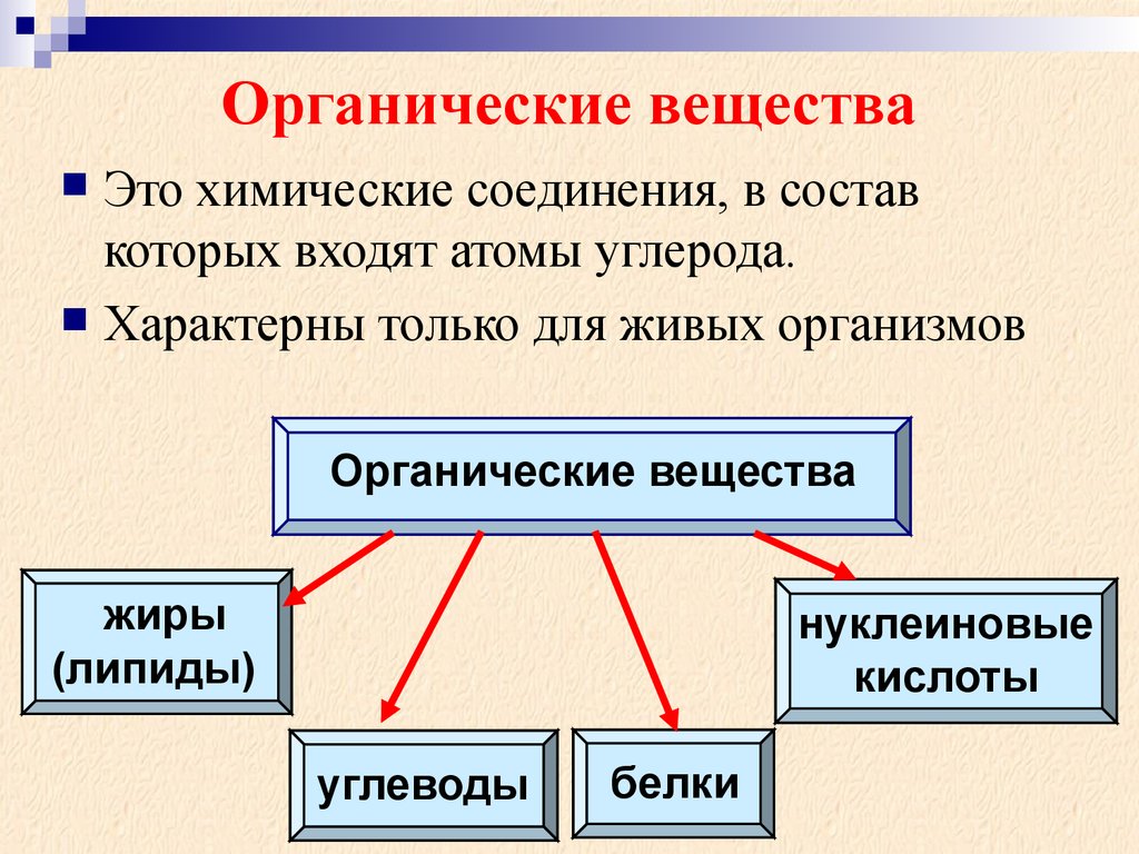 Органические вещества презентация по химии