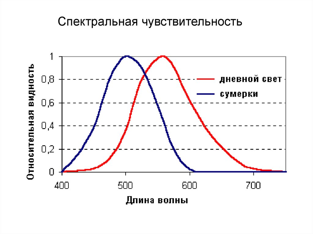 Абсолютная спектральная. Кривая спектральной видности глаза. Кривая относительной спектральной чувствительности глаза. Спектральная чувствительность человеческого глаза. График спектральной чувствительности глаза.