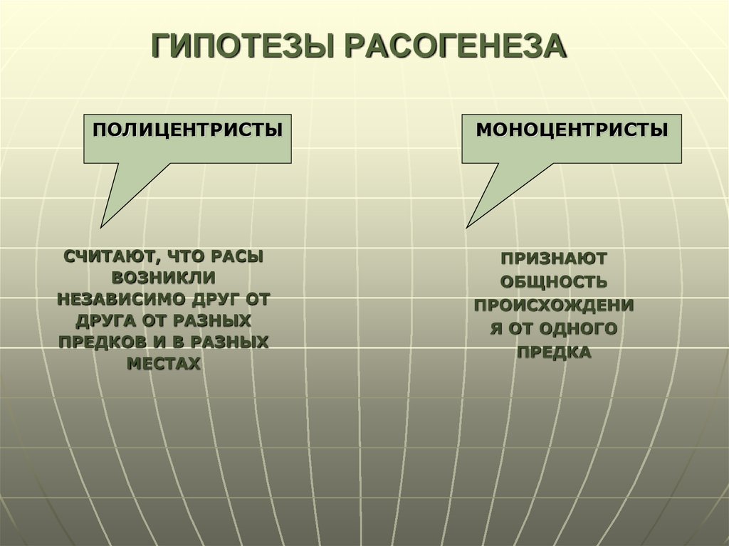 Гипотезы расогенеза схема