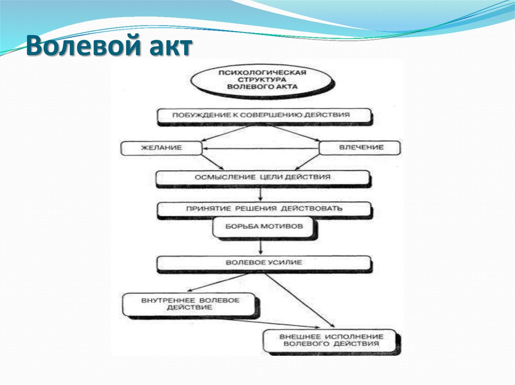Волевой акт