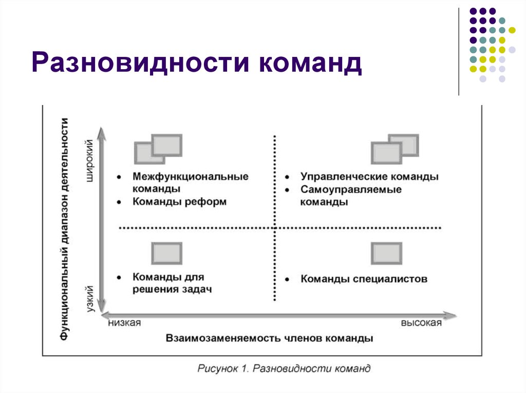 Виды команды проекта