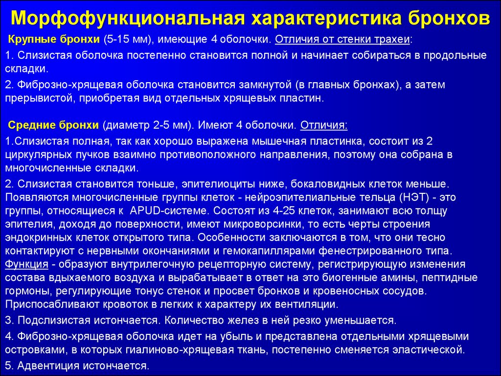 Характеристика легких. Морфофункциональная характеристика дыхательной системы. Морфофункциональная характеристика трахеи. Морфофункциональная характеристика это. Морфофункциональная характеристика органов д.