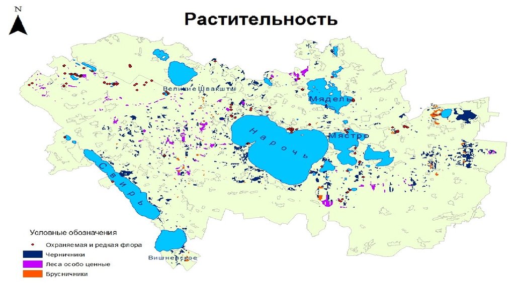 Нарочанский национальный парк презентация