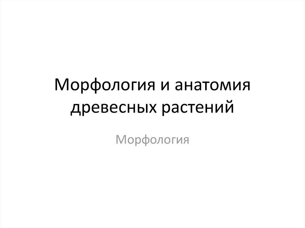 Анатомия и морфология растений