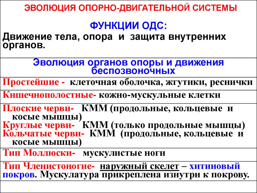 Развитие опорно двигательной системы. Эволюция опорно-двигательной системы животных таблица. Таблица опорно двигательная система 7 класс биология. Эволюция опорно-двигательной системы животных 7 класс таблица. Особенности строения опорно-двигательной системы животных.