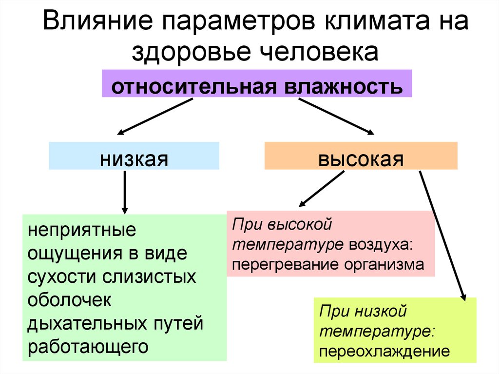 Влияние микроклимата на здоровье человека проект