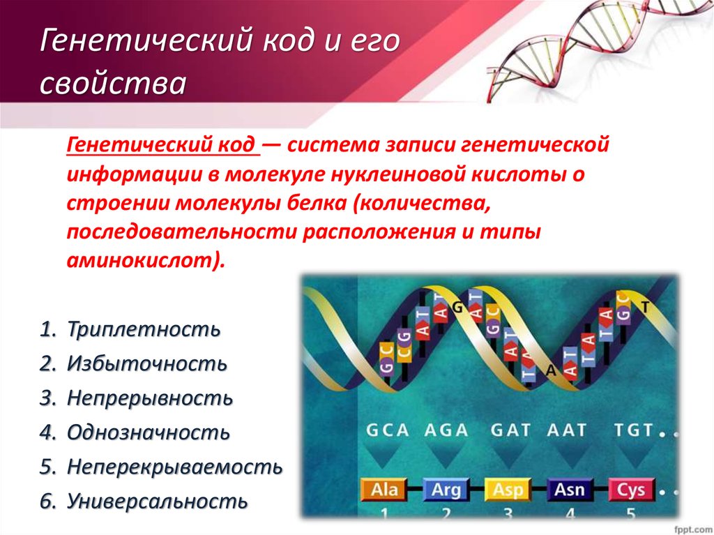 Наследственная информация ген. Наследственная информация и генетический код. Генетический код ДНК. ДНК. Ген. генетический код. Генетический (биологический) код.