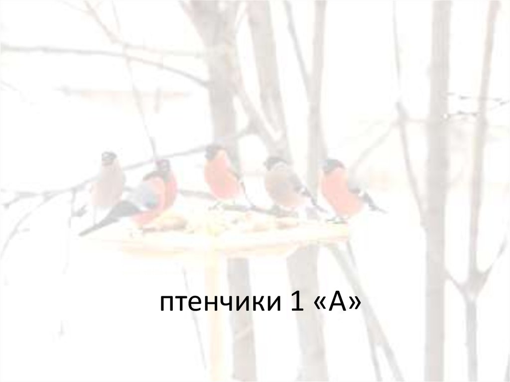 птенчики 1 «А»