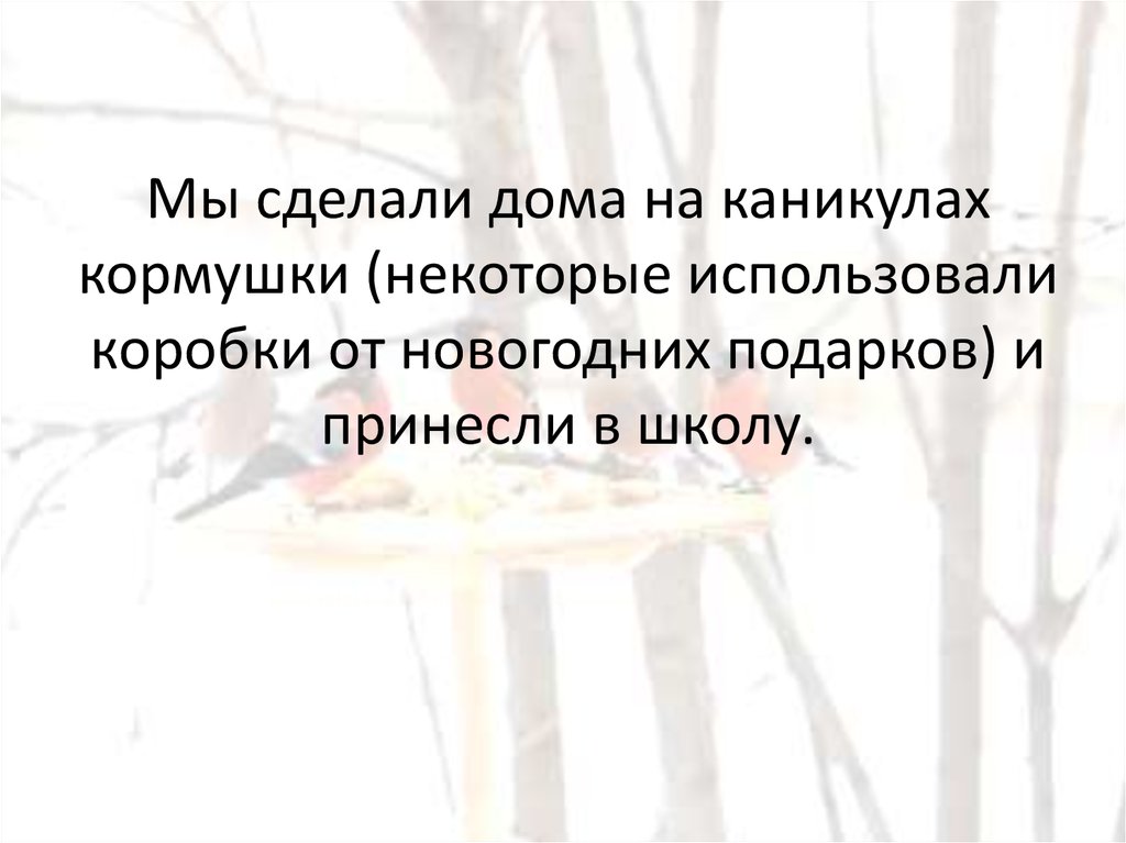 Мы сделали дома на каникулах кормушки (некоторые использовали коробки от новогодних подарков) и принесли в школу.