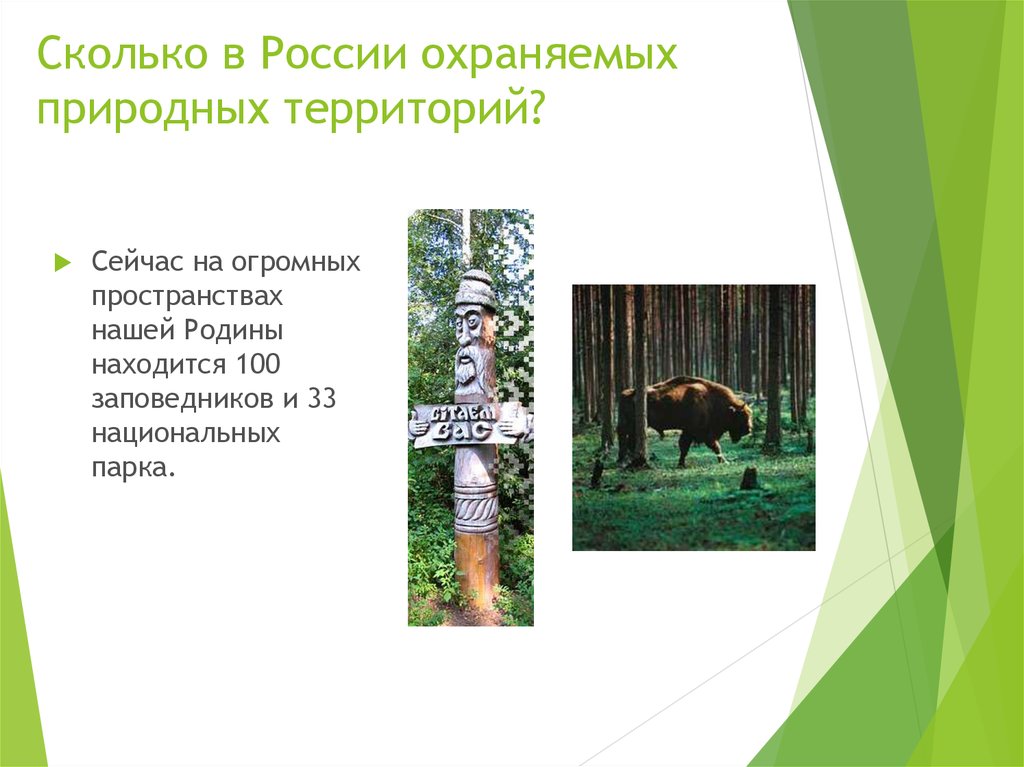 Заповедники и национальные парки россии проект для 4 класса по окружающему миру