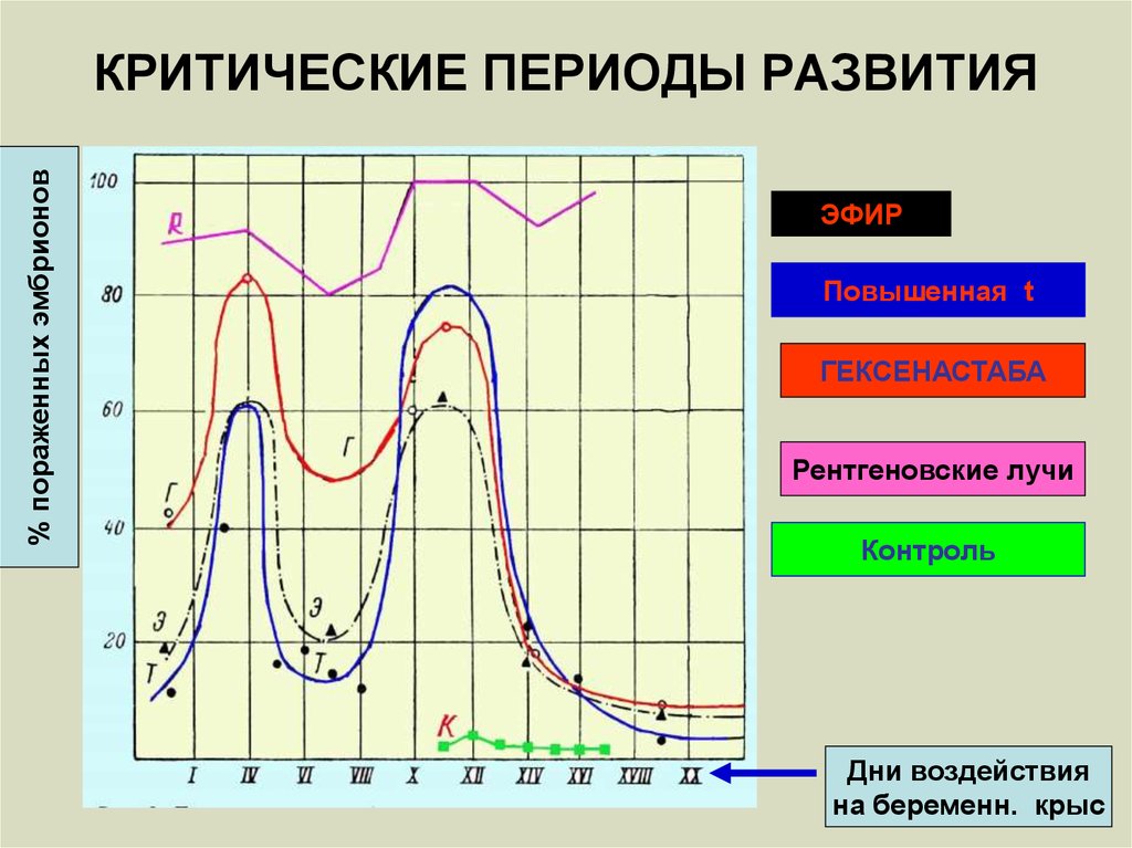 Критические периоды. Критические периоды развития. Критические периоды эмбрионального. Понятие о критических периодах. Критические периоды развития человека.