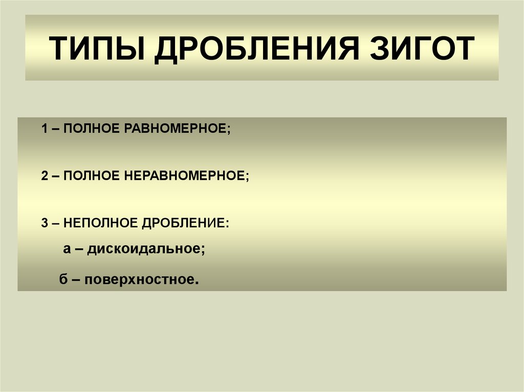 Типы дробления. Типы зигот. Виды дробления зиготы. У человека полное или неполное дробление. Полное неравномерное.