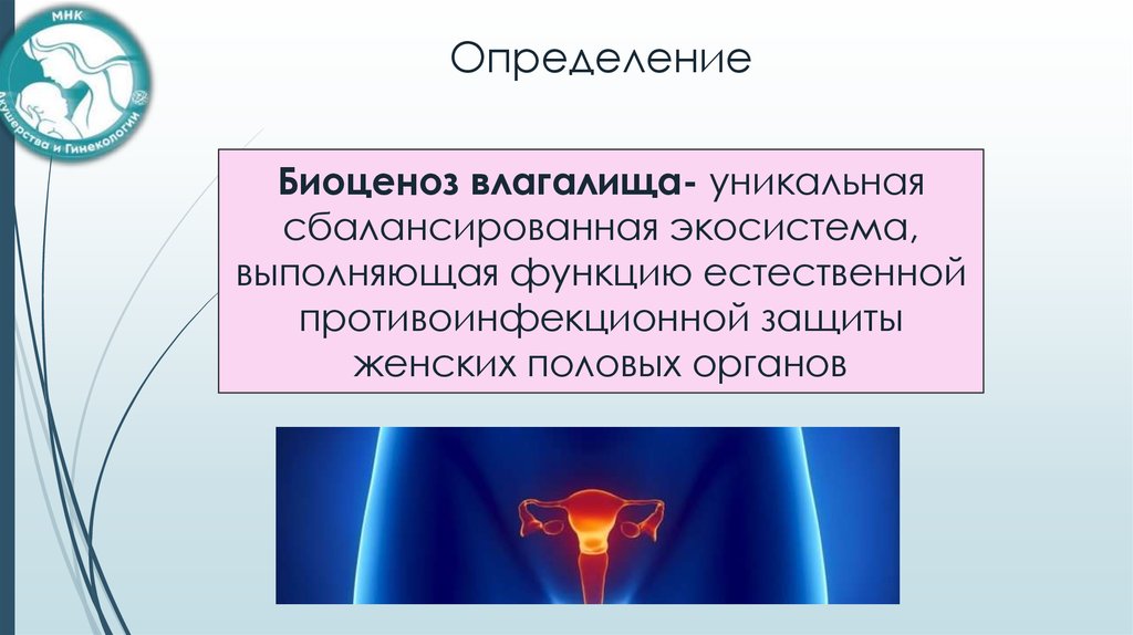 ФЛОРОЦЕНОЗ - биоценоз влагалища – гинекологический паспорт женщины