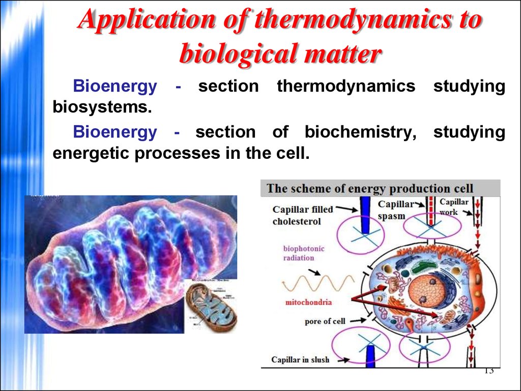 Application of thermodynamics to biological matter