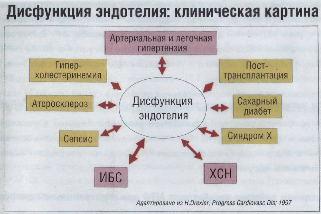 Фармакотерапия хронической. Фармакотерапия сердечной недостаточности клиническая фармакология. Фармакотерапия острой сердечной недостаточности презентация. Клиническая фармакология ХСН. Гипер-Альфа-холестеринемия.