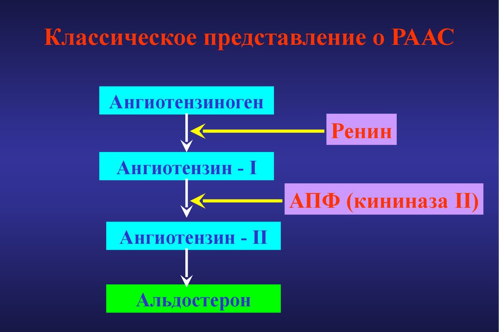 Классическое представление. Ренин ангиотензин 2 альдостерон. Ренин-ангиотензиновая система. Ренин-ангиотензиновая система сердечная недостаточность. Ангиотензин 1 функции.