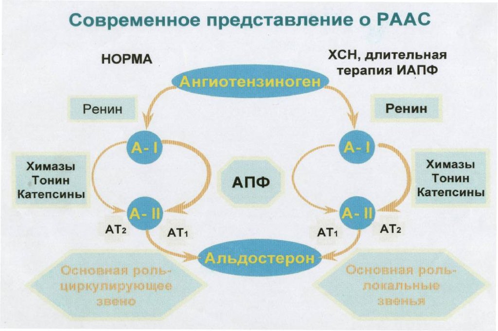 Фармакотерапия хронической. Фармакотерапия сердечной недостаточности. Фармакотерапия ХСН. Фармакотерапия острой сердечной недостаточности. Принципы фармакотерапии ХСН.