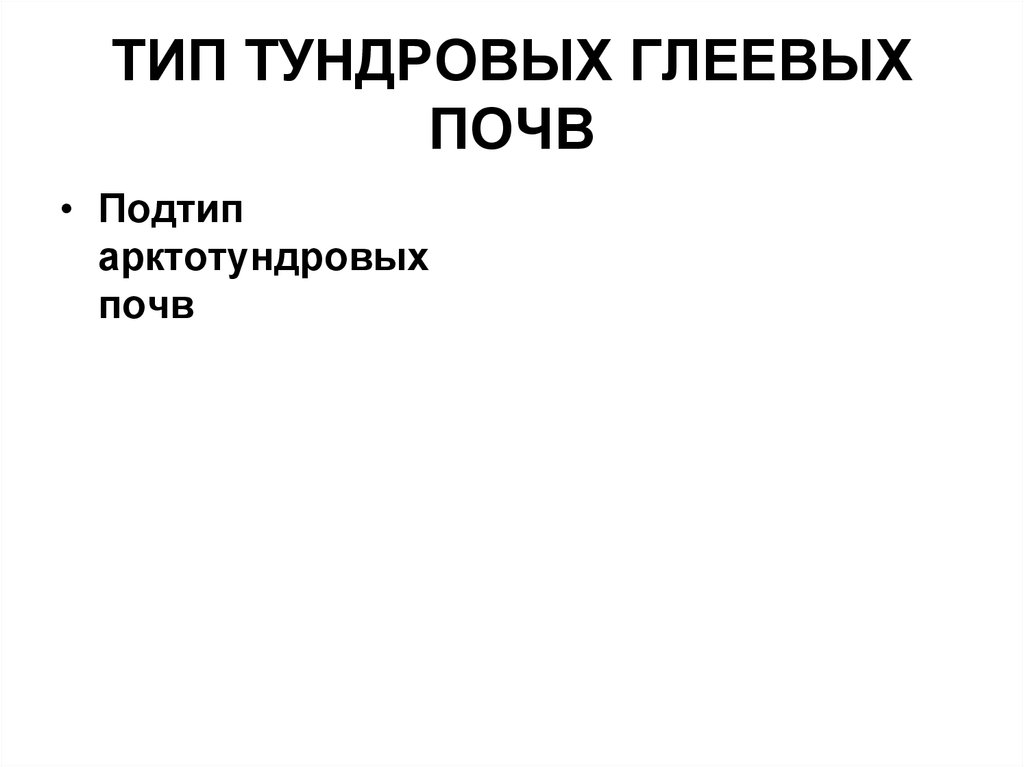 ТИП ТУНДРОВЫХ ГЛЕЕВЫХ ПОЧВ