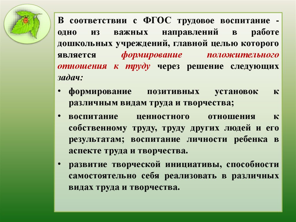 Проект по трудовому воспитанию в доу