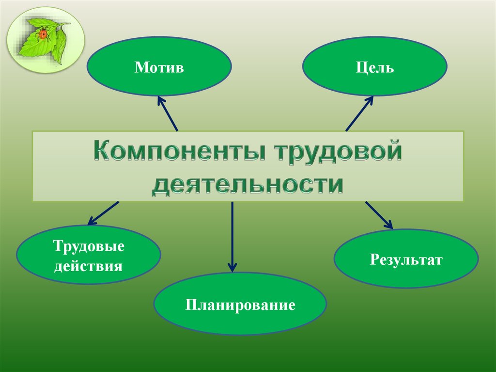 Компоненты мотивов деятельности. Компоненты трудовой деятельности. Структурные компоненты трудовой деятельности. Компоненты трудовой деятельности детей. Компоненты детского труда как деятельности.