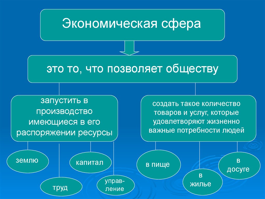 Экономическая сфера общества фото