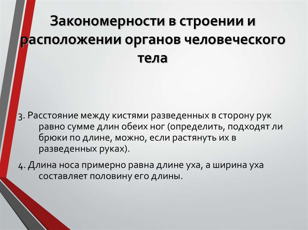 Закономерности строения. Закономерности человеческого тела. Закономерности строения организма. Общие закономерности строения органов.. Закономерности строения тела человека.