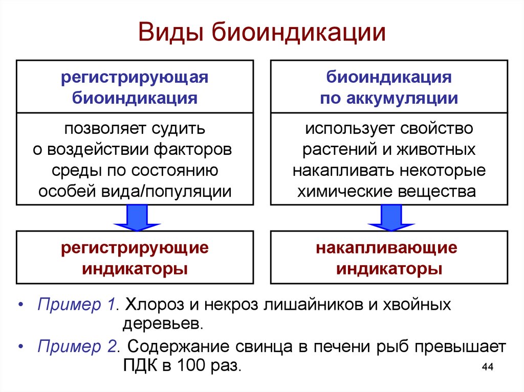 Биоиндикация. Общая схема проявления биоиндикационных признаков.. Биоиндикации и биотестирования. Виды биоиндикации. Виды биоиндикаторов.