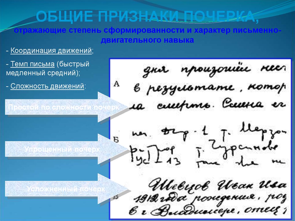 Образцы почерка виды