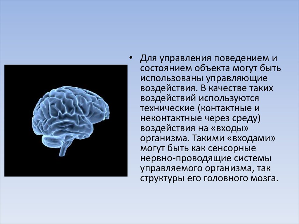 Объекты способные. Мозг управляет поведением.