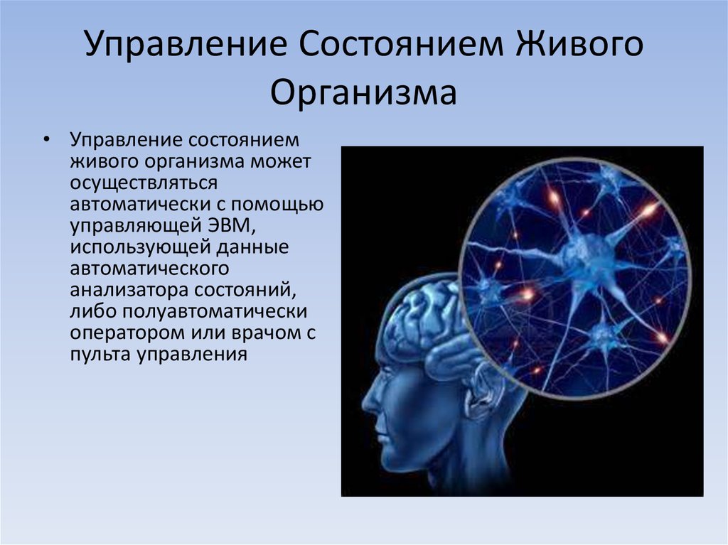 Состояние живого. Управление состоянием. Управление организма. Функциональных состояния живых организмов.. Управление своим самочувствием.