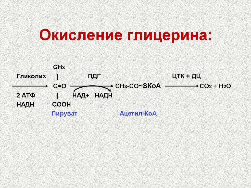 Полное окисление формула. Окисление глицерина до со2 и н2о реакции. При окислении глицерина до со2 и н2о образуется. Распад глицерина АТФ. Окисление глицерина АТФ.