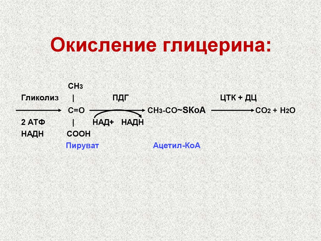 Окисление углекислого газа. Окисление глицерина до ПВК. Окисление пирувата до со2 и н2о. При окислении глицерина до со2 и н2о образуется. Распад глицерина АТФ.