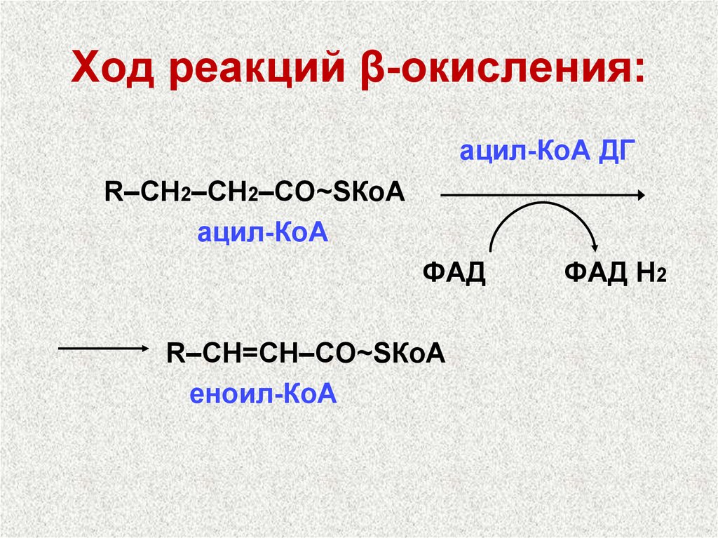 Схема окисления ацетил коа до углекислого газа и воды