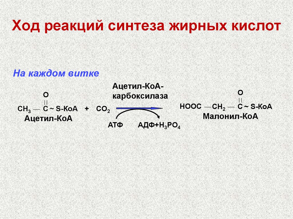 Синтез высших жирных. Синтез жирных кислот из ацетил КОА реакции. Синтез жирных кислот биохимия реакции. Первая реакция синтеза жирных кислот. Синтез жирных кислот схема.