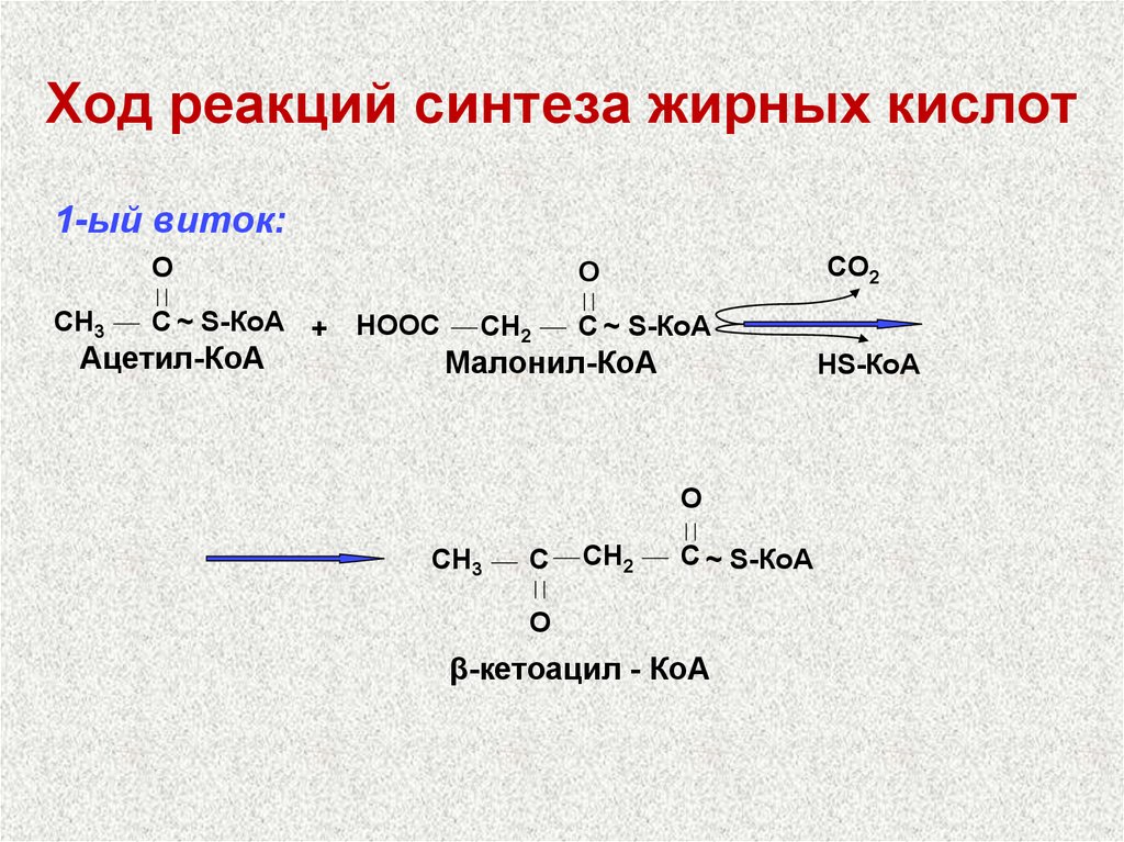 Ход реакций синтеза жирных кислот