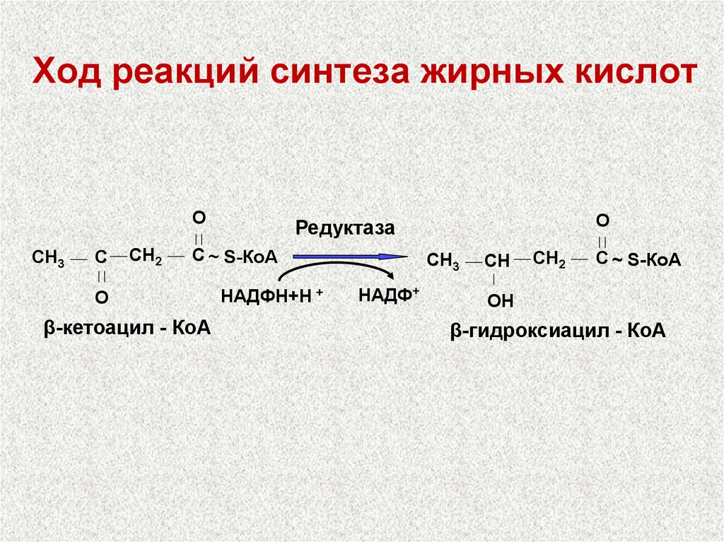 Ход реакций синтеза жирных кислот
