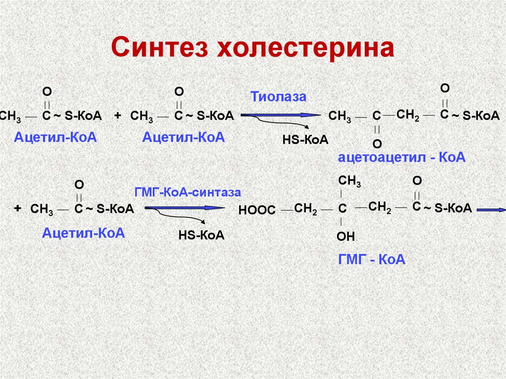 Глюкоза ацетил коа. Эндогенный Синтез холестерина схема. Основные этапы синтеза холестерина биохимия. Синтез и распад холестерина. Синтез холестерина из Глюкозы биохимия.