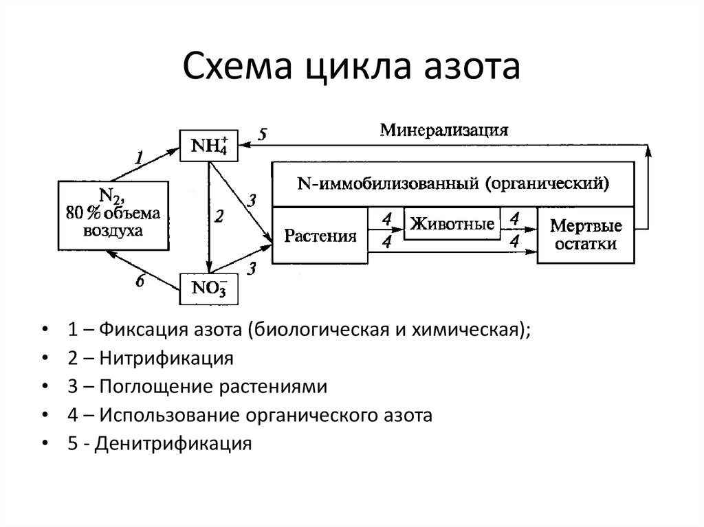 Схема соединения азота