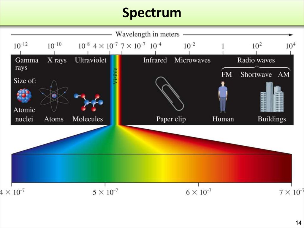 element spectrum