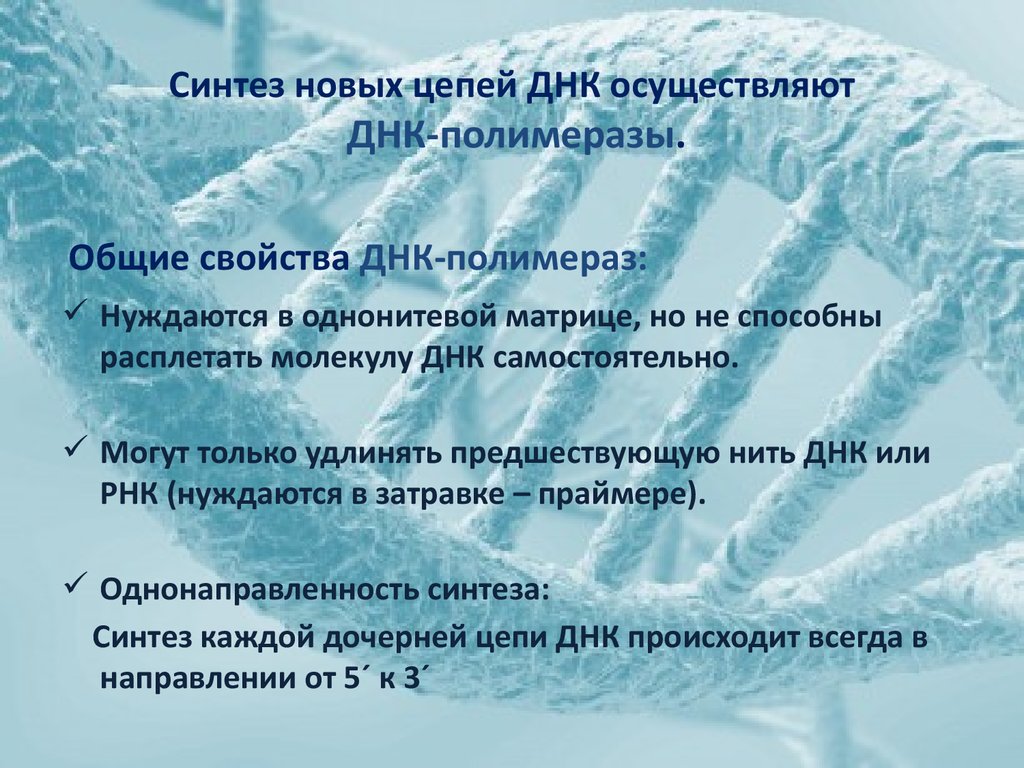 Новый синтез