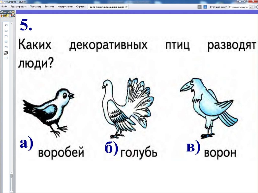 Тестирование на животных презентация