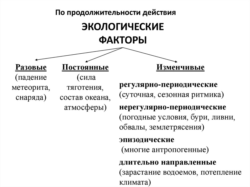 Рассмотрите предложенную схему классификации экологических факторов