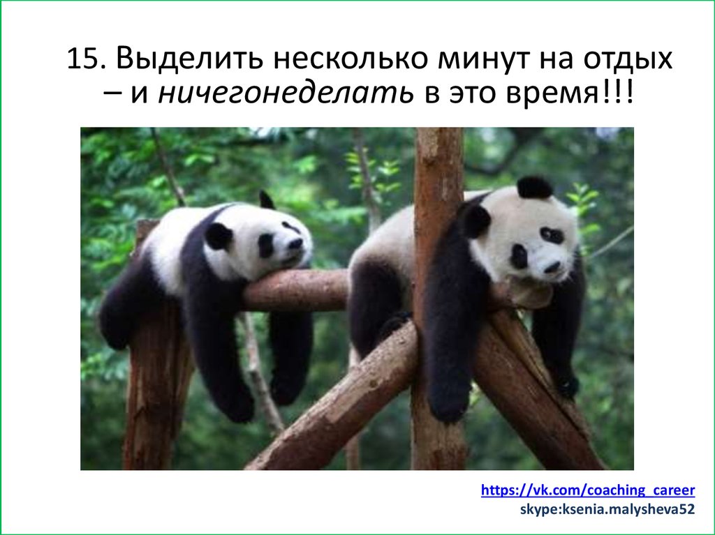 Заняться спортом (хотя бы минут 15)