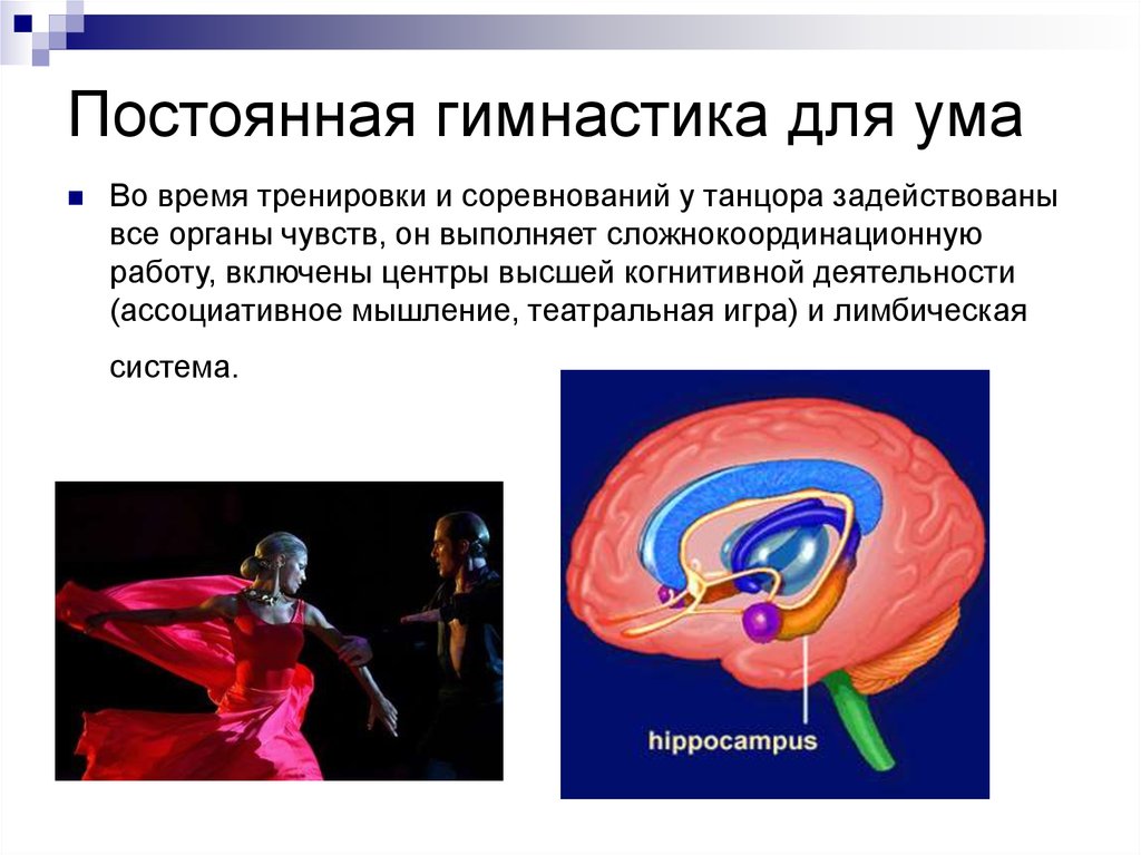 Постоянная гимнастика для ума