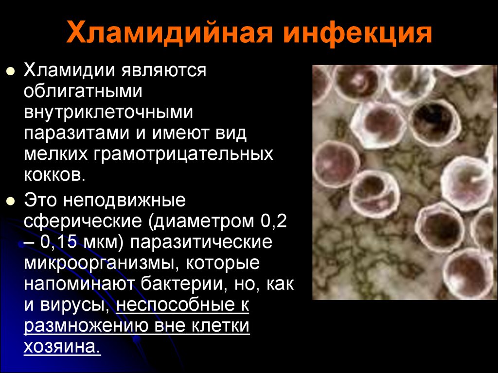 Хламидиоз причины возникновения. Хламидии урогенитального хламидиоза. Хламидии микробиология заболевания. Хломодильная инфекция. Хламидийная инфекция возбудитель.