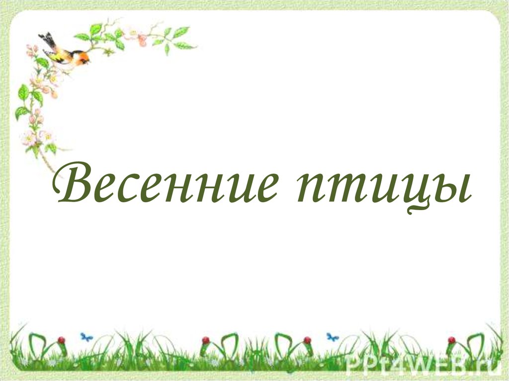 Весенние птицы