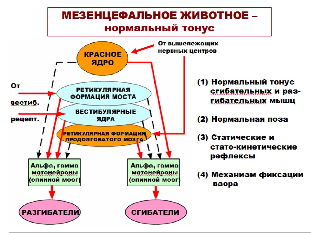 Имитация движения наделение изображения двигательными функциями