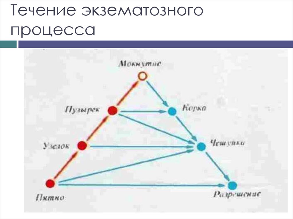 Течение экзематозного процесса