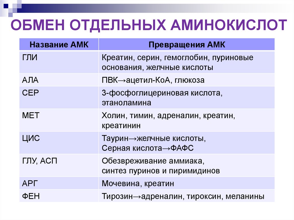 Обмен белков и аминокислот биохимия презентация