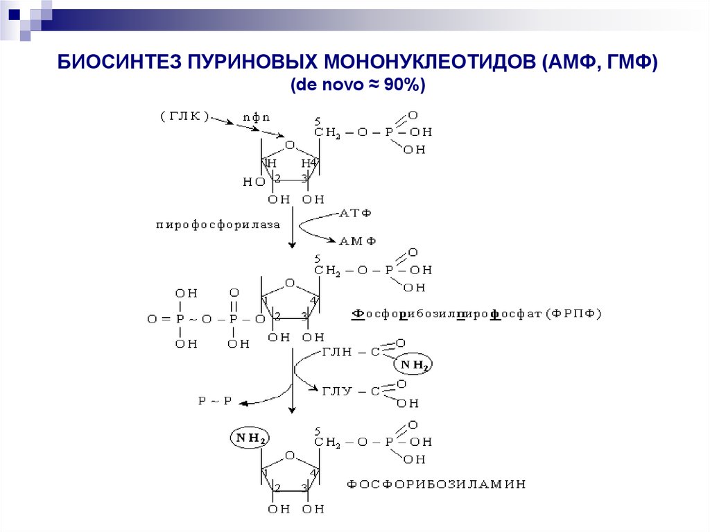 Синтез пуриновых оснований